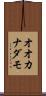 オオカナダモ Scroll