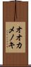 オオカメノキ Scroll