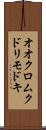 オオクロムクドリモドキ Scroll