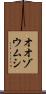 オオゾウムシ Scroll