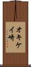オキケイ崎 Scroll