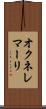 オクネレマーリ Scroll