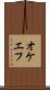 オケエフ Scroll