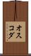 オスコダ Scroll