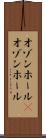 オゾンホール(P) Scroll