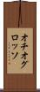 オチオグロッソ Scroll
