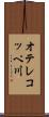 オテレコッペ川 Scroll
