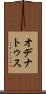オデナトゥス Scroll