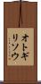 オトギリソウ Scroll