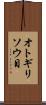 オトギリソウ目 Scroll