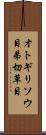 オトギリソウ目 Scroll