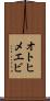 オトヒメエビ Scroll