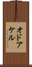 オドアケル Scroll