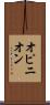 オピニオン Scroll