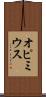 オピミウス Scroll