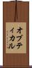 オプティカル Scroll