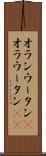 オランウータン(P) Scroll