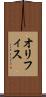 オリフィス Scroll