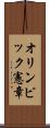 オリンピック憲章 Scroll