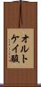 オルトケイ酸 Scroll