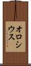 オロシウス Scroll