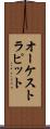 オーケストラ・ピット Scroll