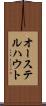 オーステルハウト Scroll