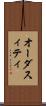 オーダスィティ Scroll