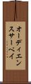 オーディエンス・サーベイ Scroll