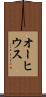 オーヒウス Scroll