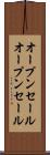 オープンセール Scroll