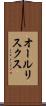 オールリスクス Scroll