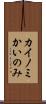 カイノミ Scroll