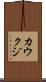 カウクジ Scroll