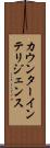 カウンターインテリジェンス Scroll