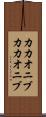 カカオニブ Scroll
