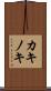 カキノキ Scroll