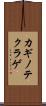 カギノテクラゲ Scroll