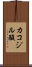 カコジル酸 Scroll