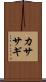 カササギ Scroll