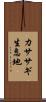 カササギ生息地 Scroll