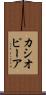 カシオピーア Scroll