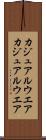 カジュアルウエア Scroll