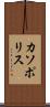 カソポリス Scroll