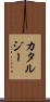 Katarzy Scroll