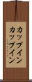 カップイン Scroll