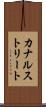 カナルストリート Scroll