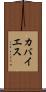 カバイエス Scroll