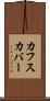 カフスカバー Scroll