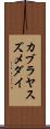 カブラヤスズメダイ Scroll